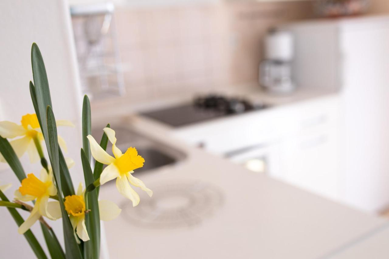 Apartment Julijana 크르크 외부 사진